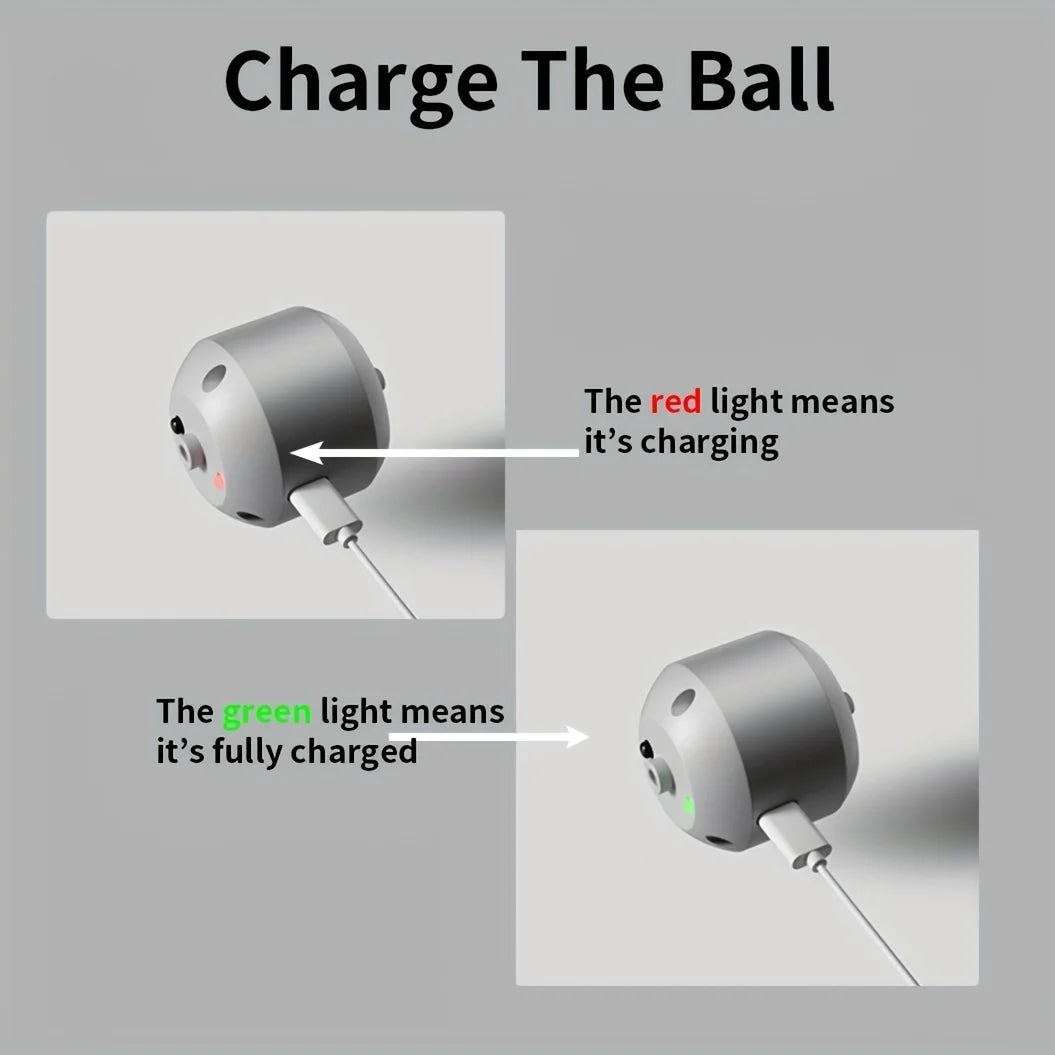 Smart Dog Toy Ball Electronic Interactive Pet Toy Ball USB Automatic Bouncing Rolling Toy Ball With RGB Lights Puppy Cat Product