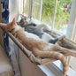 Cat Hammock Window Hanger Cat Hammock Washable Detachable Pet Bed Suction Shelf Bag Beds Seat For Cat Sleeping Pet Supplies