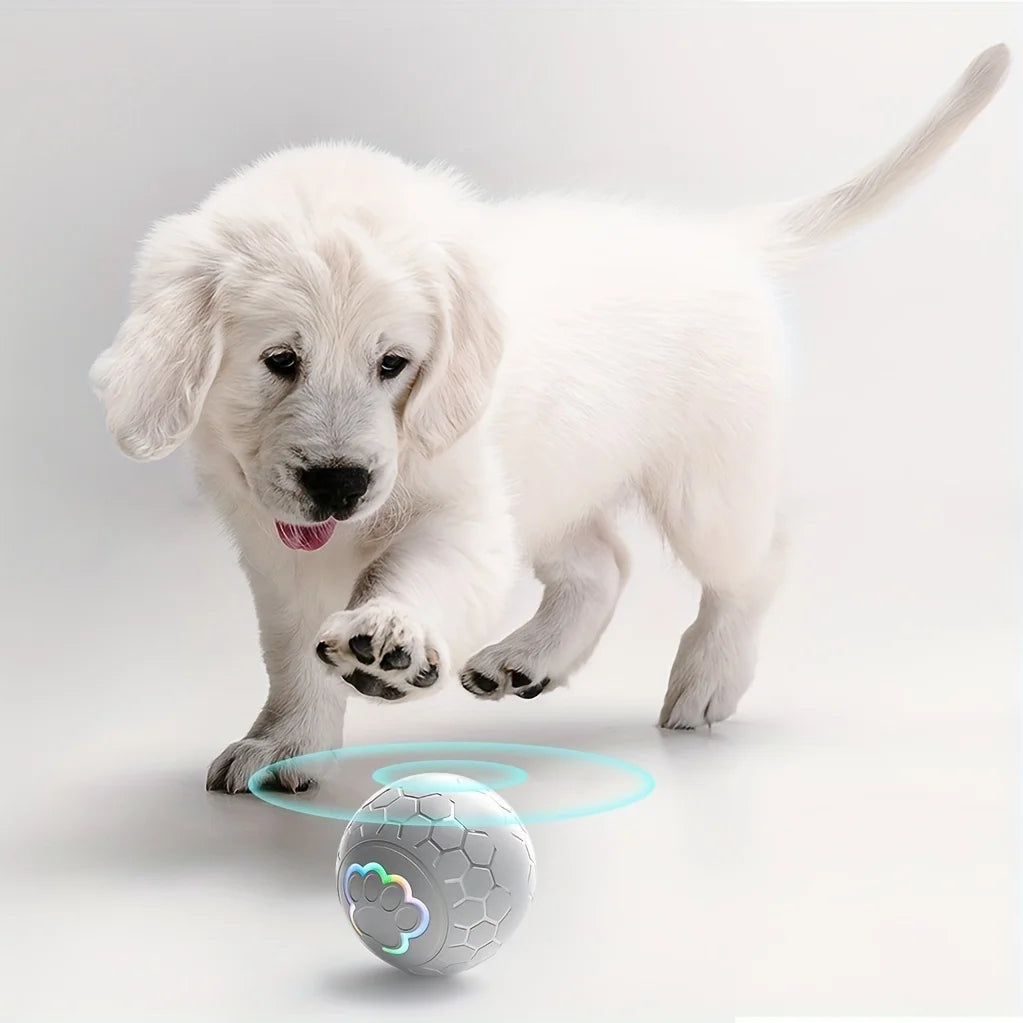 Smart Dog Toy Ball Electronic Interactive Pet Toy Ball USB Automatic Bouncing Rolling Toy Ball With RGB Lights Puppy Cat Product