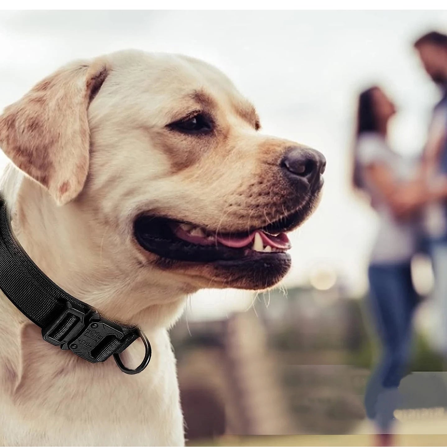 Tactical Dog Collar, Adjustable Military Training Nylon Dog Collar with Control Handle and Heavy Metal Buckle for Medium and Lar