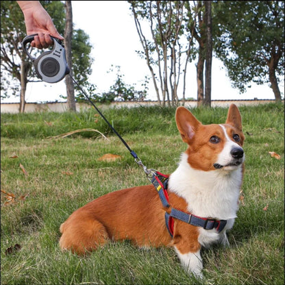 3m 5m Small Dog Automatic Telescopic Leash Dogs Traction Device Portable Dog Walking Artifact Equipped with Anti Slip Handle